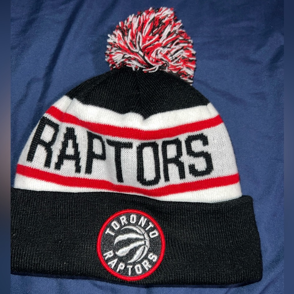 Toronto Raptors Winter Hat